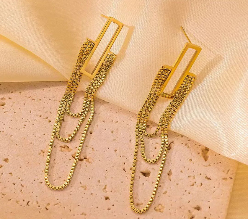Long chain stainless earring.