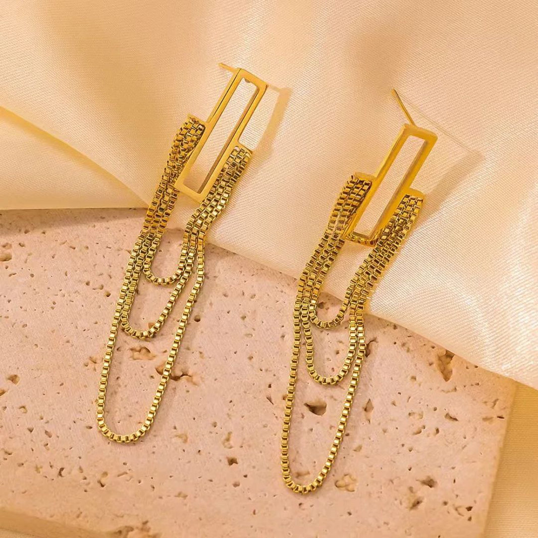 Long chain stainless earring.