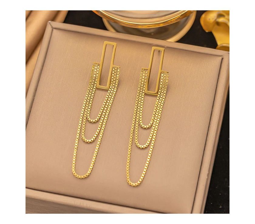 Long chain stainless earring.