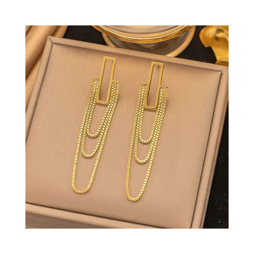 Long chain stainless earring.
